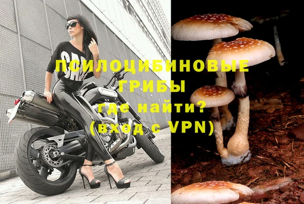MDMA Premium VHQ Алзамай